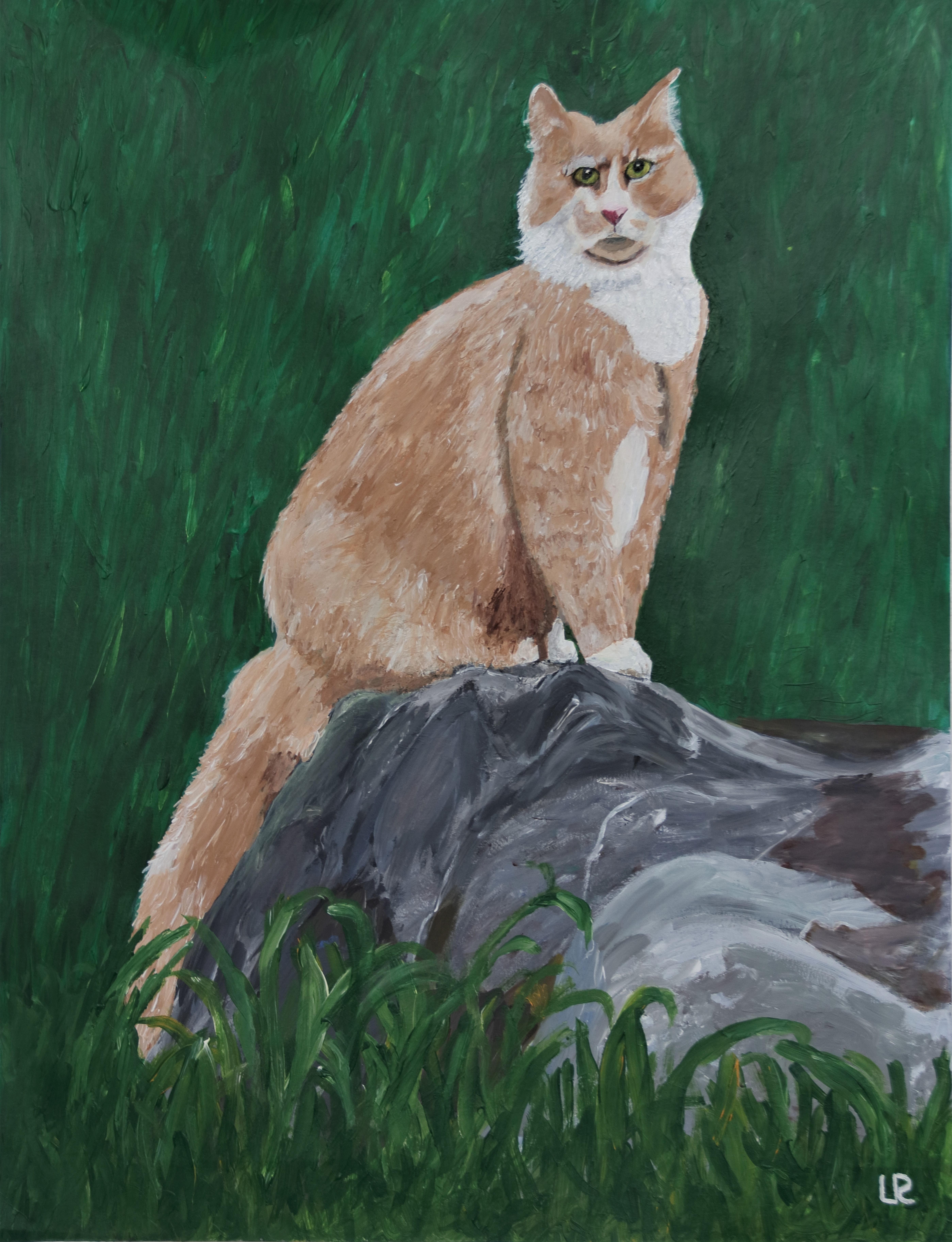 Finn 67cm x 52cm Acryl auf Karton